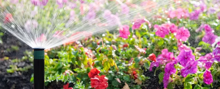 Bästa Bevisning för Din Trädgård: Konstfullt Skapa en Oas av Skönhet