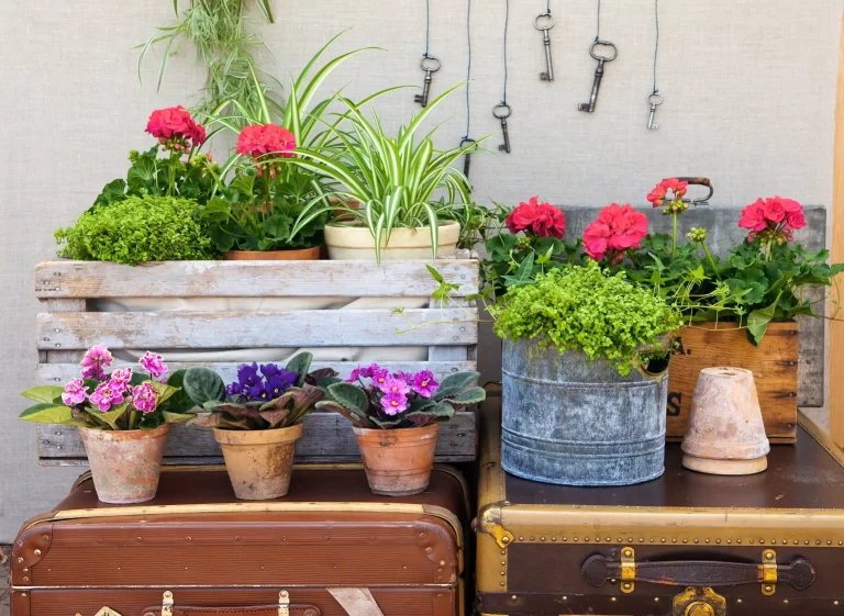 Enkel Guide för Att Plantera Blommor: Tips för Nybörjare