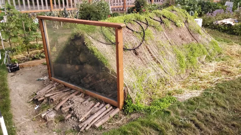 Så planterar du upp en Hugelkultursäng: Bygger en hållbar trädgårdsoas