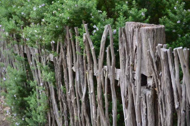 Hur man bygger ett Wattle-staket: Rustik charm för din trädgård