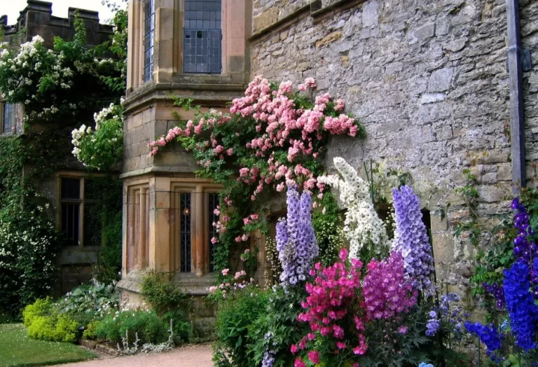 gammaldags stugträdgård