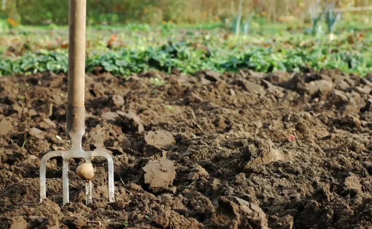 hållbart trädgårdsarbete