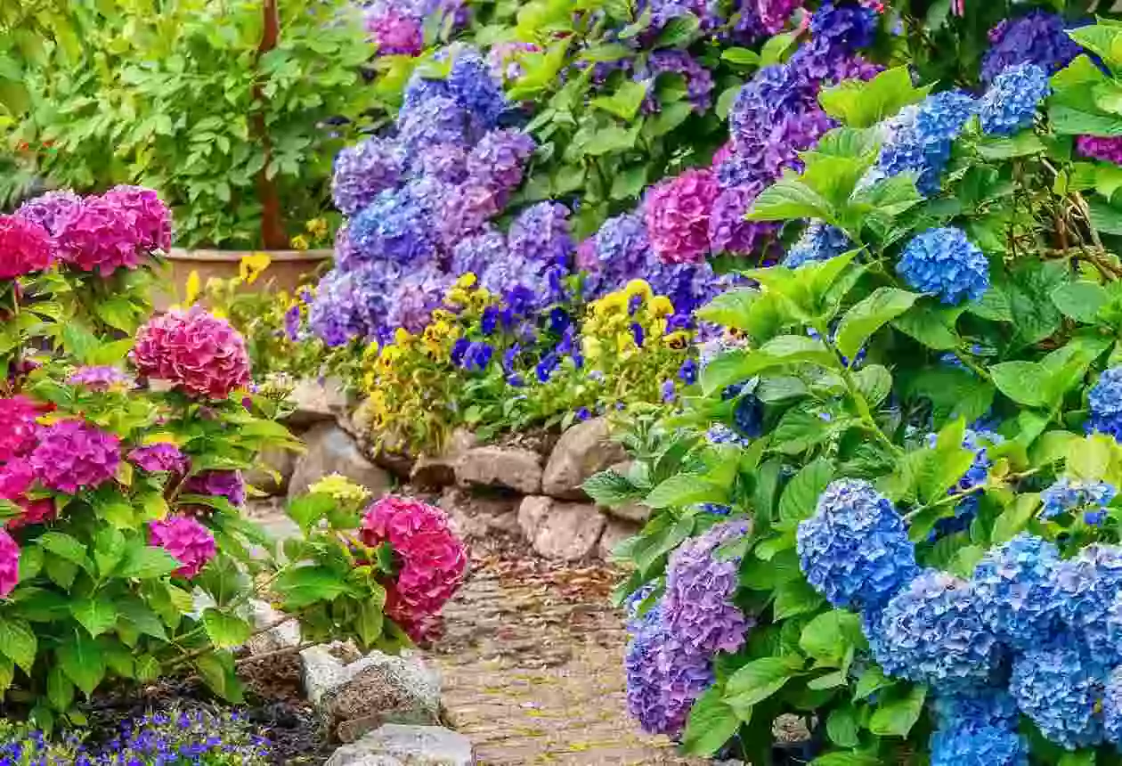 trädgårdsentusiaster