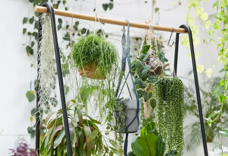 Kreativa hängande växthållare