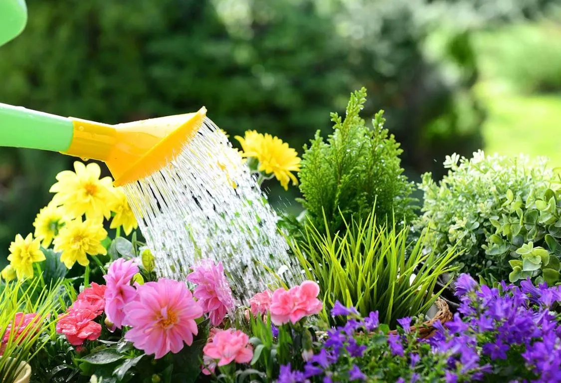 trädgårdsbevattning i maj