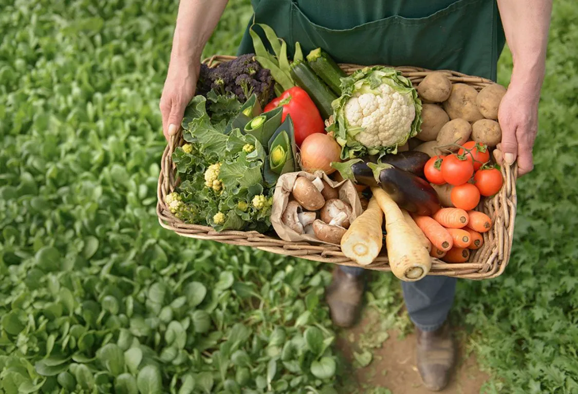 maj månads grönsaker