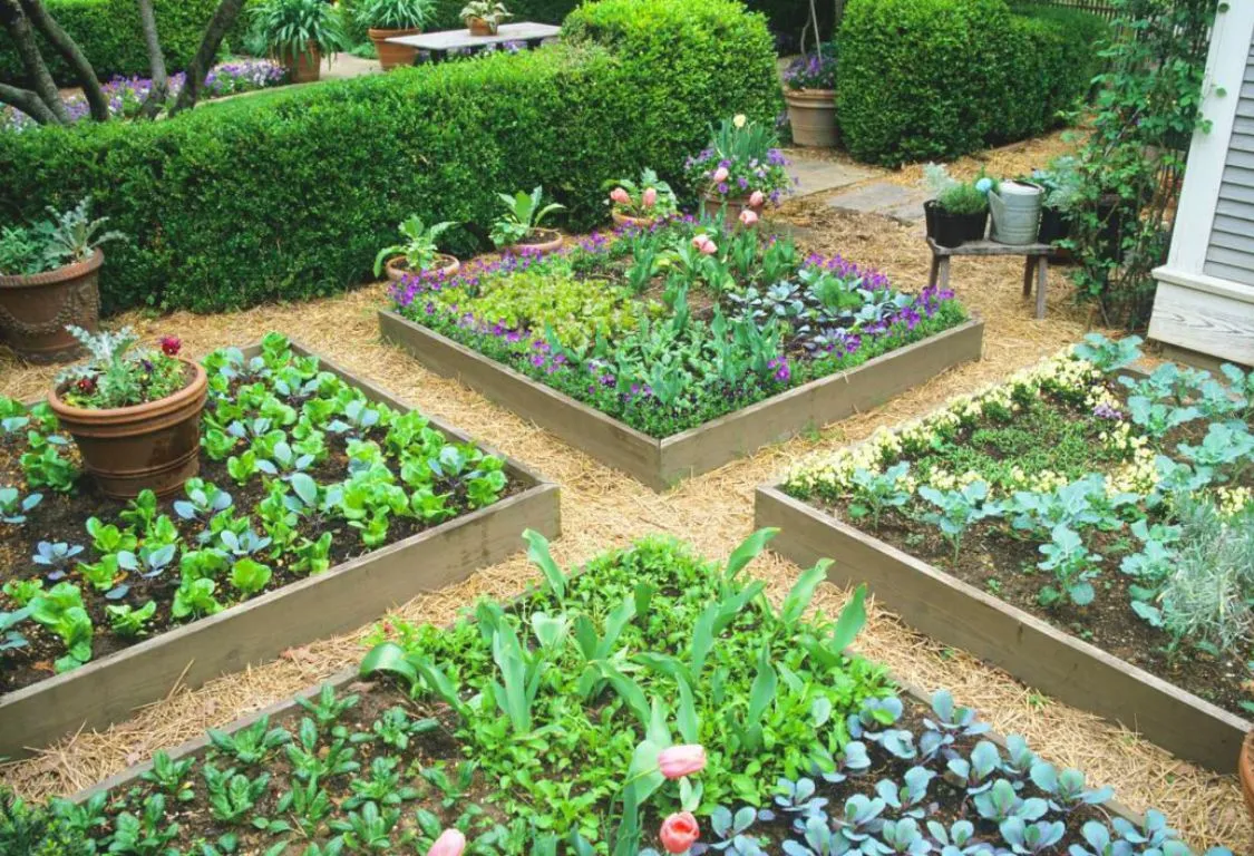 Skapa en trädgårdsplan för maj