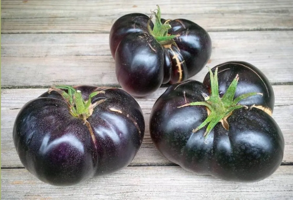 Svart tomat näringsvärde