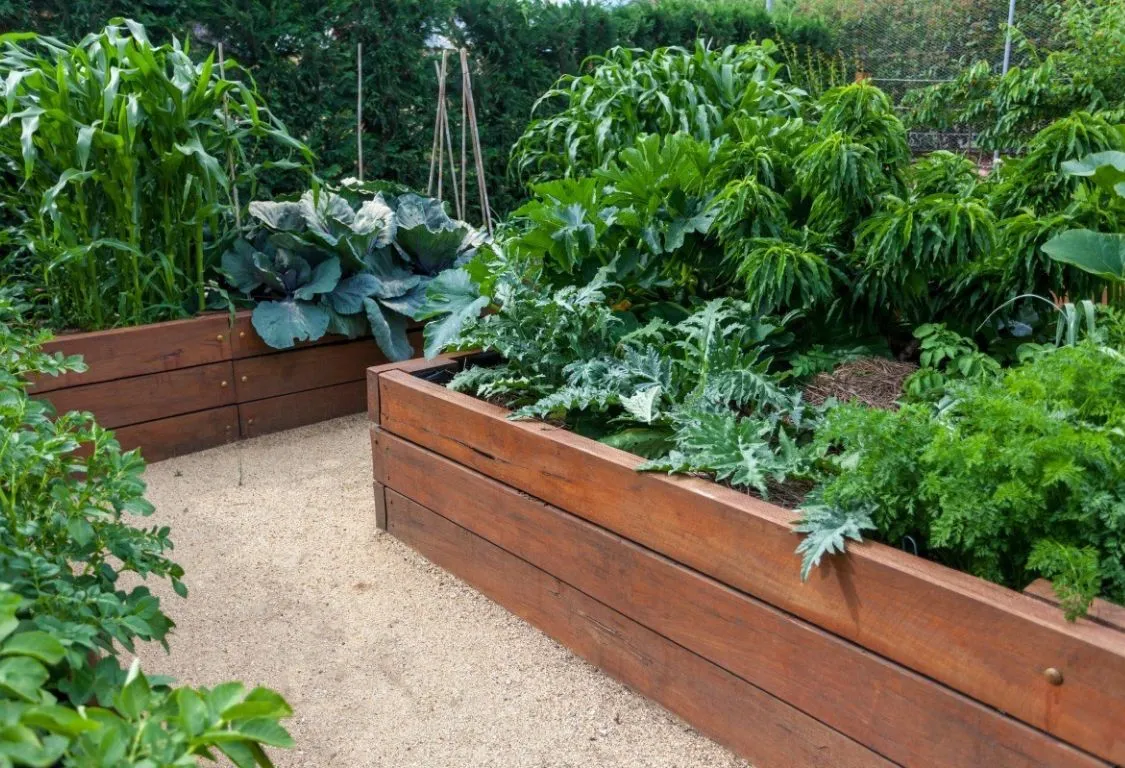 Upphöjd trädgårdssäng
