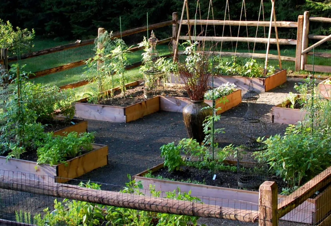 Trädgårdsplanering