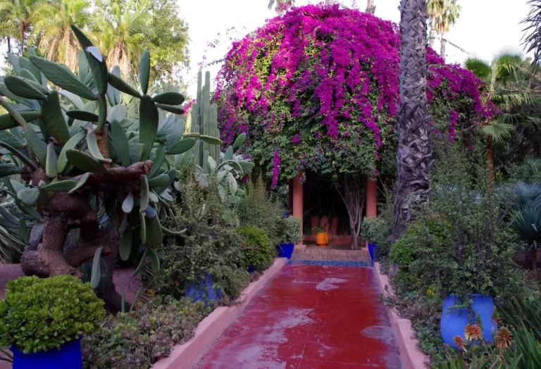 Trädgårdsarbete i Marocko