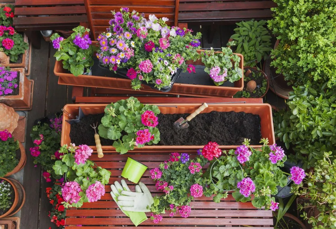 bästa blommor för trädgården