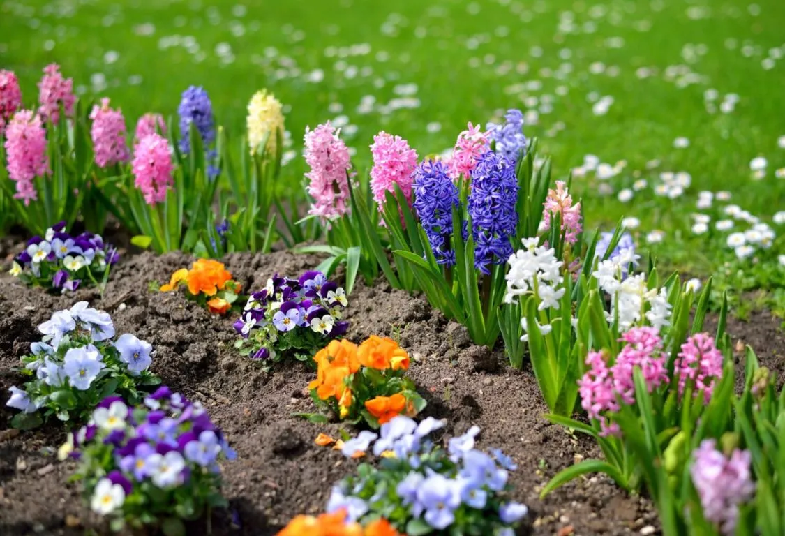 Vårens trädgårdsplanering